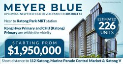 Meyer Blue (D15), Apartment #438266451
